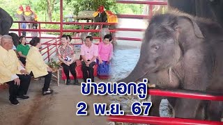 ข่าวนอกลู่ 2 พ.ย. 67 - สุดชื่นมื่น พิธีสู่ขอแต่งงาน 'ช้างแฝด' ได้ฤกษ์แต่ง 7 พ.ย.นี้