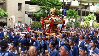 【深川八幡祭り2017】 神輿連合渡御 ・箱崎四 町会　神酒所前 神輿突き上げ！ No.1富岡八幡宮例大祭