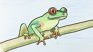 How to draw a green tree frog step by step