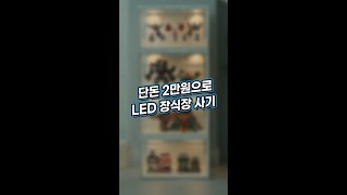 단돈 2만원으로 가성비 LED 장식장 사기