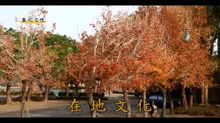 彰化在地文化-田尾故鄉(石董錄製)