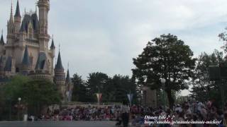 七夕グリーティング　2011　東京ディズニーランド