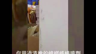 清檜天然去污亮光粉 實測影片Part1