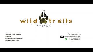 The Wild Trails Munnar - The Lap of Nature - Tour