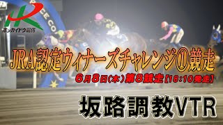 【坂路調教映像】6/8　第8競走　JRA認定ウィナーズチャレンジ①競走