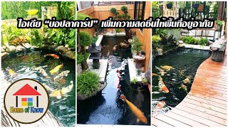 ไอเดียบ่อปลาคาร์ป เพิ่มความสดชื่นให้ที่อยู่อาศัย | Home of Know