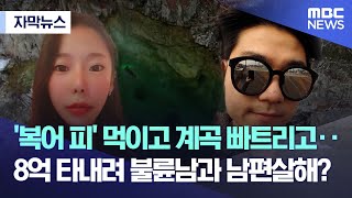 [자막뉴스] '복어 피' 먹이고 계곡 빠트리고‥8억 타내려 불륜남과 남편살해? (2022.03.31/MBC뉴스)