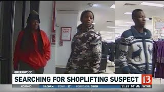 Shoplifting investigation
