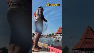 เมื่อปลาใหญ่โดนแห #หากินคือเก่า #fishing #หาอยู่หากิน #fish #fishingnet #netfishing #netfish