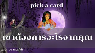 🧚Pick a Card🧚เขาต้องการอะไรจากคุณ🎉👫🥰