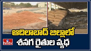 ఆదిలాబాద్ జిల్లాలో శనగ రైతుల వ్యధ | Peanut Farmers In Adilabad District | hmtv