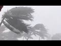 Mass Evacuation in China! Super Typhoon Yagi hit Hainan Island, wind 223 km/h. Vietnam is next?