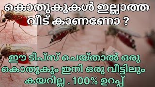 കൊതുകുകൾ കയറാത്ത വീട്  കാണണോ ? | kothuku salyam Malayalam | mosquito killer home made | #mosquito