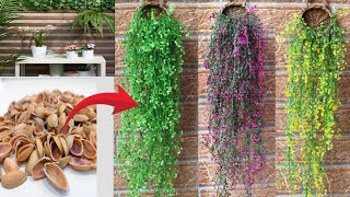 Pista shell crafts / Best Out of waste home decor ideas / Artificial hanging plants indoor