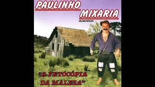 01 - Mintiu Pro Tio (A Fetocópia da Maleza) - Paulinho Mixaria