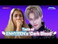 ENHYPEN 'Dark Blood' Comeback Special | K-Pop Tour w/Ariel Cecilia | KOOKY