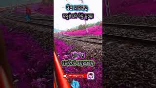 ଝିଅ ମାନଙ୍କର