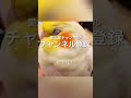 【面白いインコ動画】脂粉を粉雪のように撒き散らすオカメインコ shorts