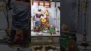 ஸ்ரீ செக்கடி சுடலைமாடசாமி படப்பு திவாரணை காட்சி