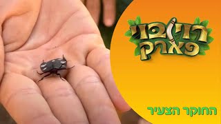 תיקן הדמקה - רוי בוי פארק