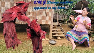 Single Pregnant Mother. Monster Attacks Mai at Home. Thôn nữ