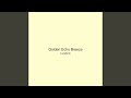 Golden Echo Breeze