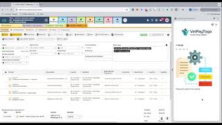 ezyVet Demo: VetPayTogo