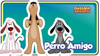 Perro Amigo - Gallina Pintadita 2 - Oficial - Canciones infantiles para niños y bebés