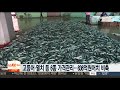 고등어ㆍ멸치 등 6종 가격관리…836억원 어치 비축 연합뉴스tv yonhapnewstv