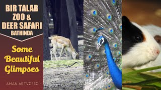 Bathinda Zoo \u0026 Deer Safari | Bir Talab | (Some Beautiful Glimpses)