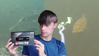 waterwolf camera 2.0 (full review and fish)