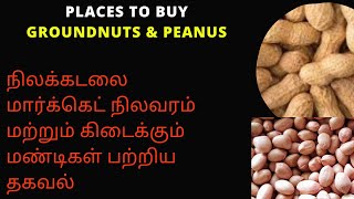 Places To Buy Groundnut | All Market Peanut wholesale Price | நிலக்கடலைக்காய் விலை நிலவரம் | AQSE