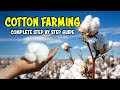 Cotton Farming Guide | How to grow Cotton plant at Home | Cotton Cultivation