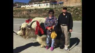 四川九寨黄龙之旅