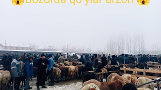 Tergachi bozor narhlari 2025 01.31