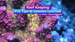 Reef Keeping Pro Tips and Tricks with Adam from Beyond the Reef