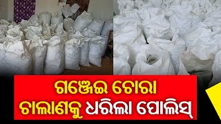 Ganja Worth More Than Rs 1 Crore Seized In Koraput At Various Places || Kalinga TV