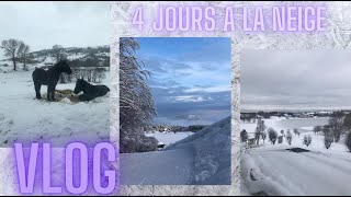 VLOG : 4 jours à la neige : LUGE / BALADE / SKI