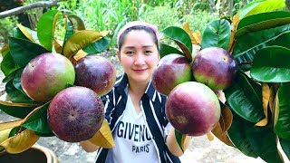 Yummy Star Apple Sweet - Star Apple Dessert - Cooking With Sros