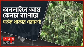 পরিপক্ক হলো গুটি আম, কাল পাওয়া যাবে বাজারে | Mango Garden | Rajshahi News | Somoy TV