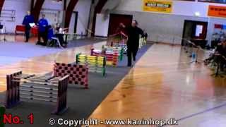 Danish Championships 2014 in Rabbit Hopping - Elite straight - TOP 10