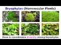 bryophytes and the life cycle of plants