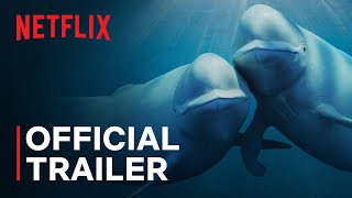 Our Oceans | Barack Obama | Official Trailer | Netflix