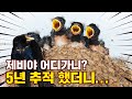 [특집] 제비 5년 추적 프로젝트 16g의 기적 Full.ver