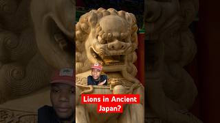 ANYONE KNOW HOW LIONS GOT IN JAPAN ?  #japan #chinese #dailynews #disney