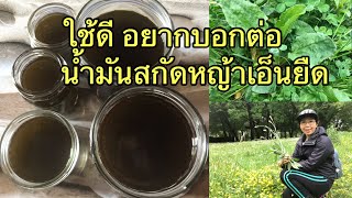 สกัดนำ้มันหญ้าเอ็นยืด นำ้มันนวด ครีมทาผิว Plantago @92wara