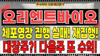 오리엔트바이오 주가전망 - 윤대통령 체포영장 집행실패! 재집행 예정! 이재명 대장주 등극?! 다음주 또 수익보세요!