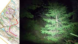 Orienteering Night: Årvollåsen, Oslo