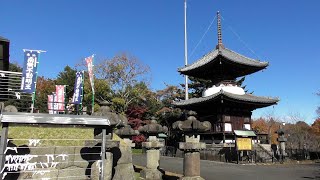 見所いっぱい！ 秋の狭山山不動寺さんを散策　2024年12月