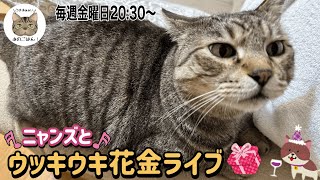 毎週金曜日はニャンズとウッキウキ花金ライブ